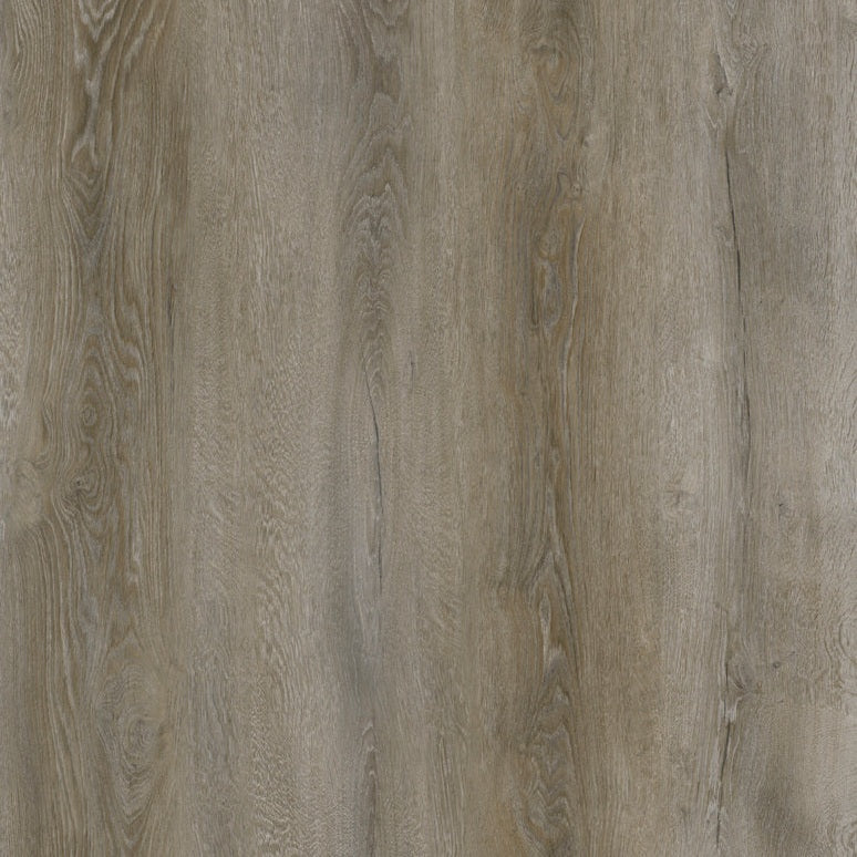 Ferry114 Rock Ferry | Vinyl