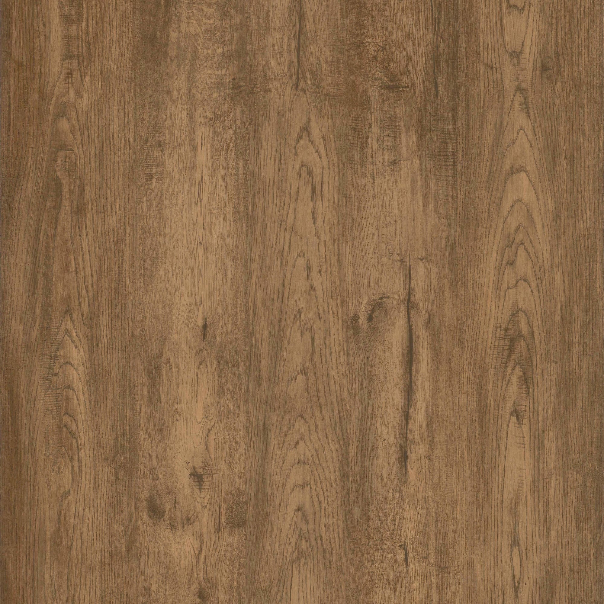 Lite135 Logging Camp Lite | Vinyl