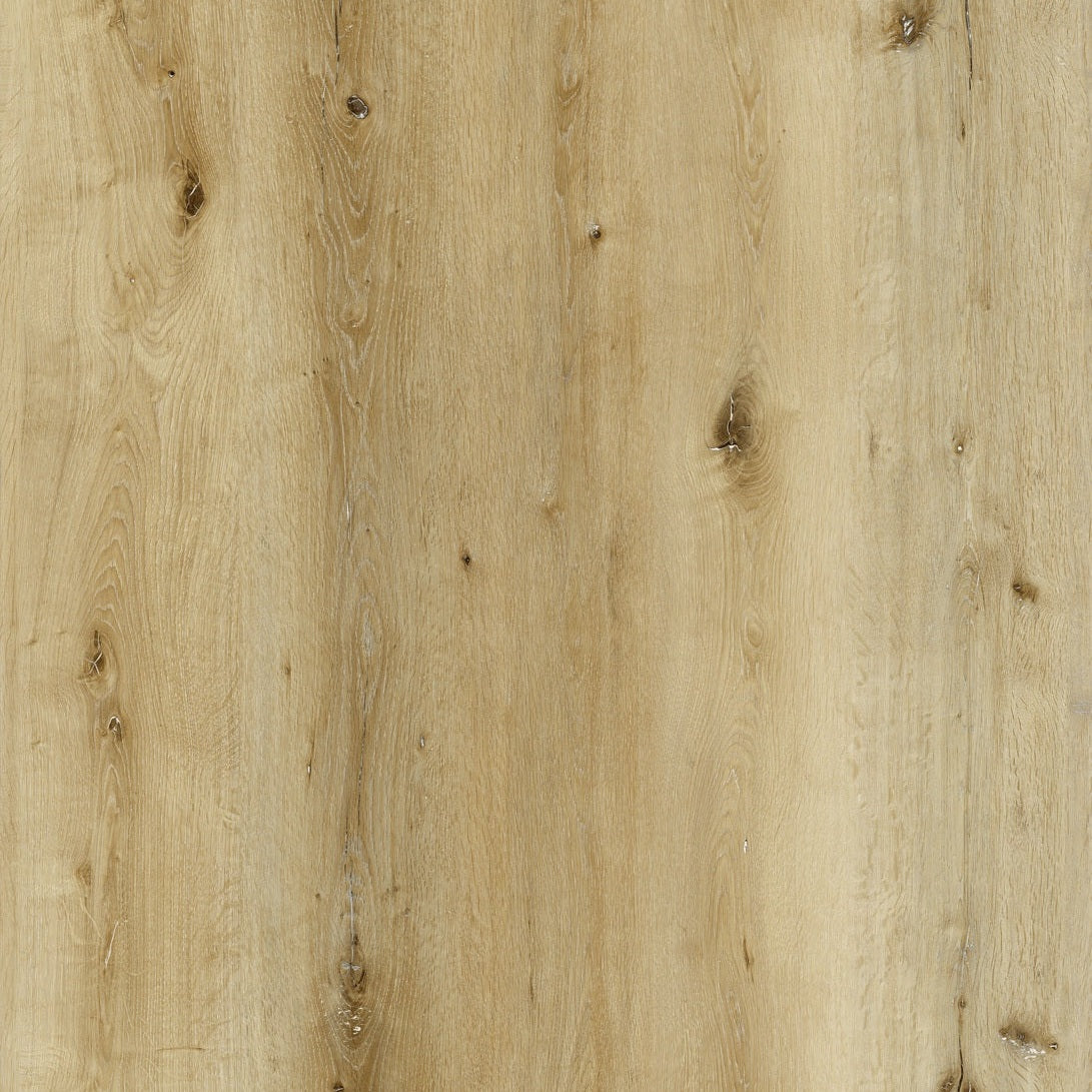 Lite137 Cherry Point Lite | Vinyl