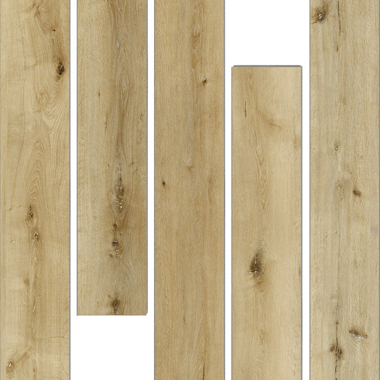 Lite137 Cherry Point Lite | Vinyl