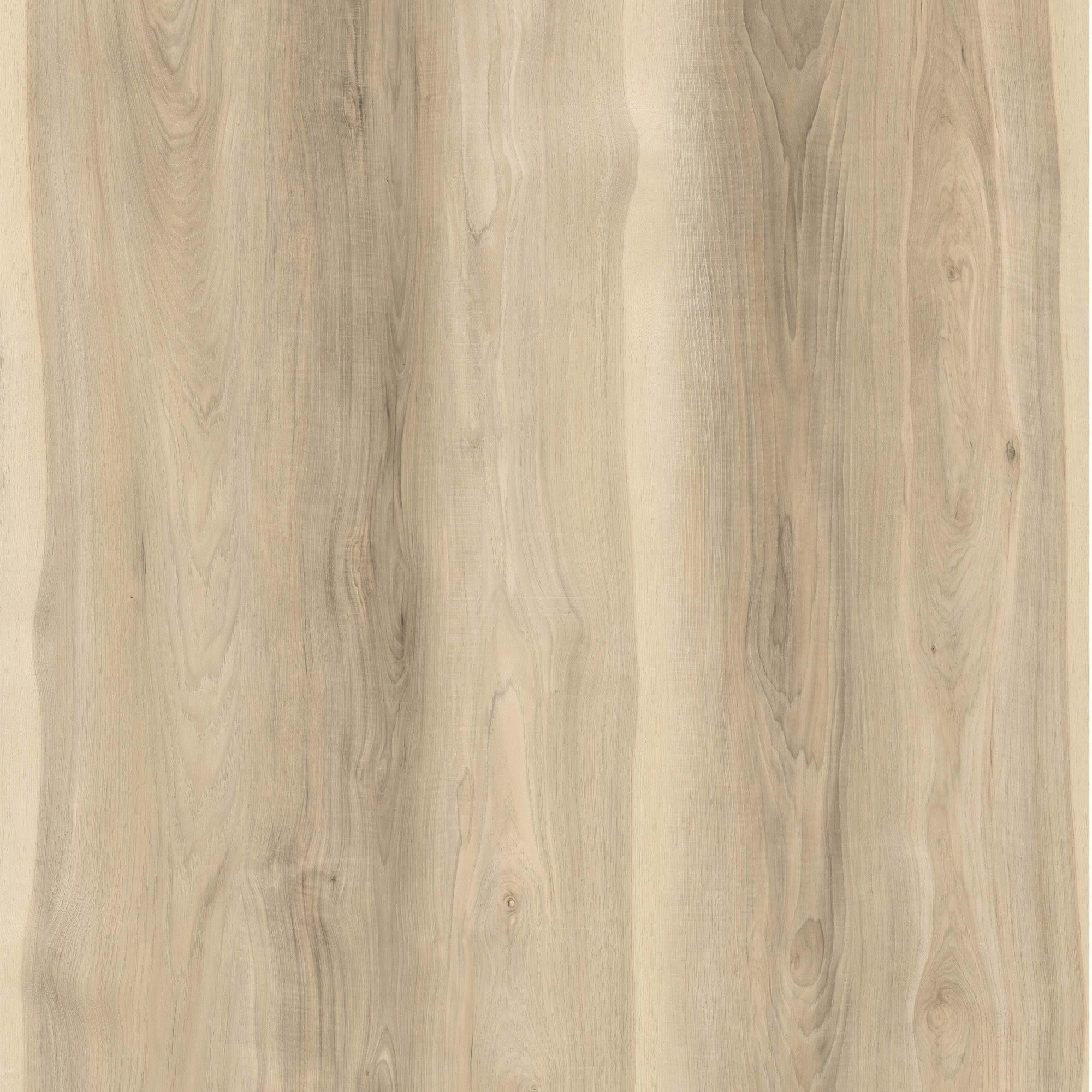 Lite139 Kaneohe Bay Lite | Vinyl