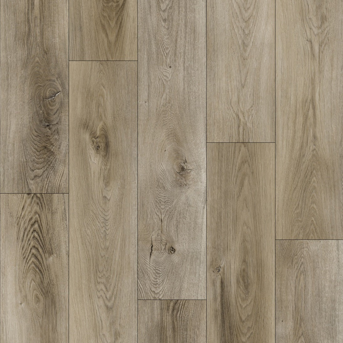 Lite140 Catalina Lite | Vinyl