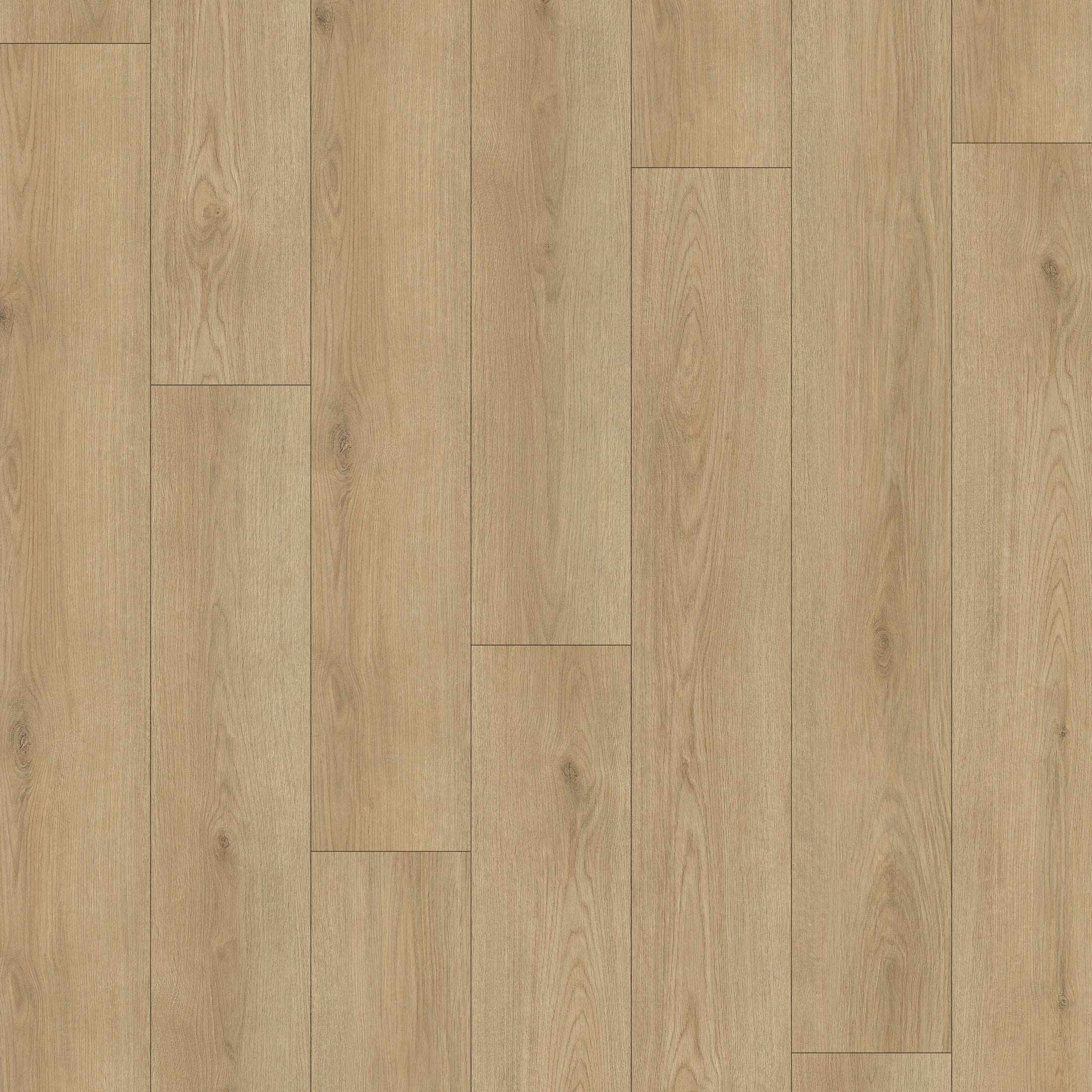 Plains147 Sandy Plains | Vinyl