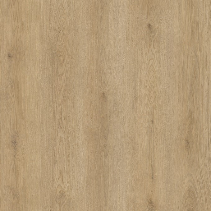 Plains147 Sandy Plains | Vinyl