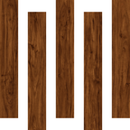 Forest151 Redwood Forest | Vinyl