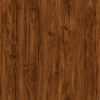 Forest151 Redwood Forest | Vinyl