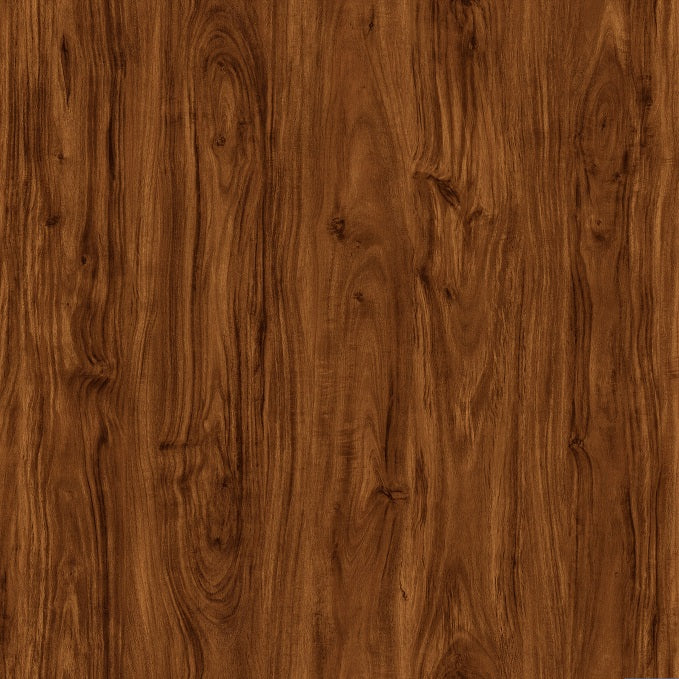 Forest151 Redwood Forest | Vinyl