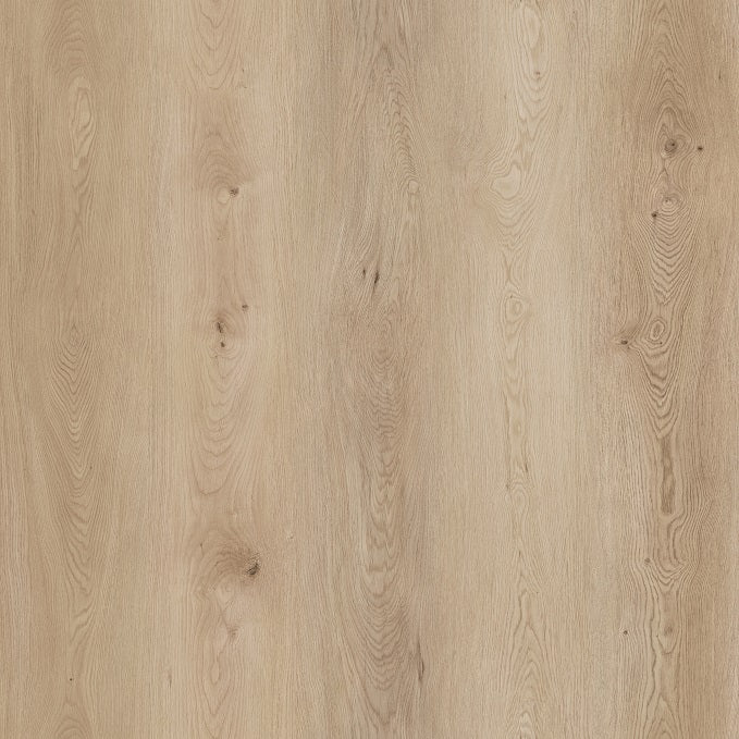 Pleasant168 Mount Pleasant | Vinyl