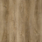 Cambridge169 | Vinyl