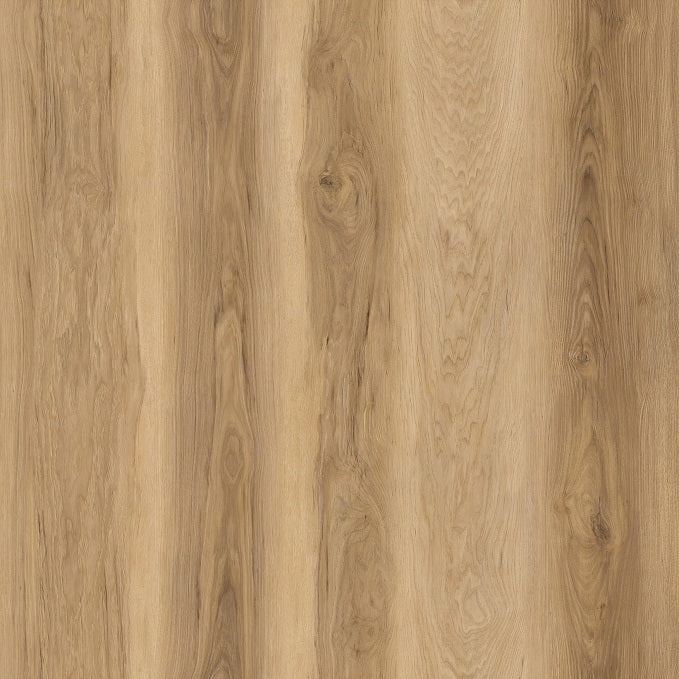 Hickory170 Carolina Hickory | Vinyl