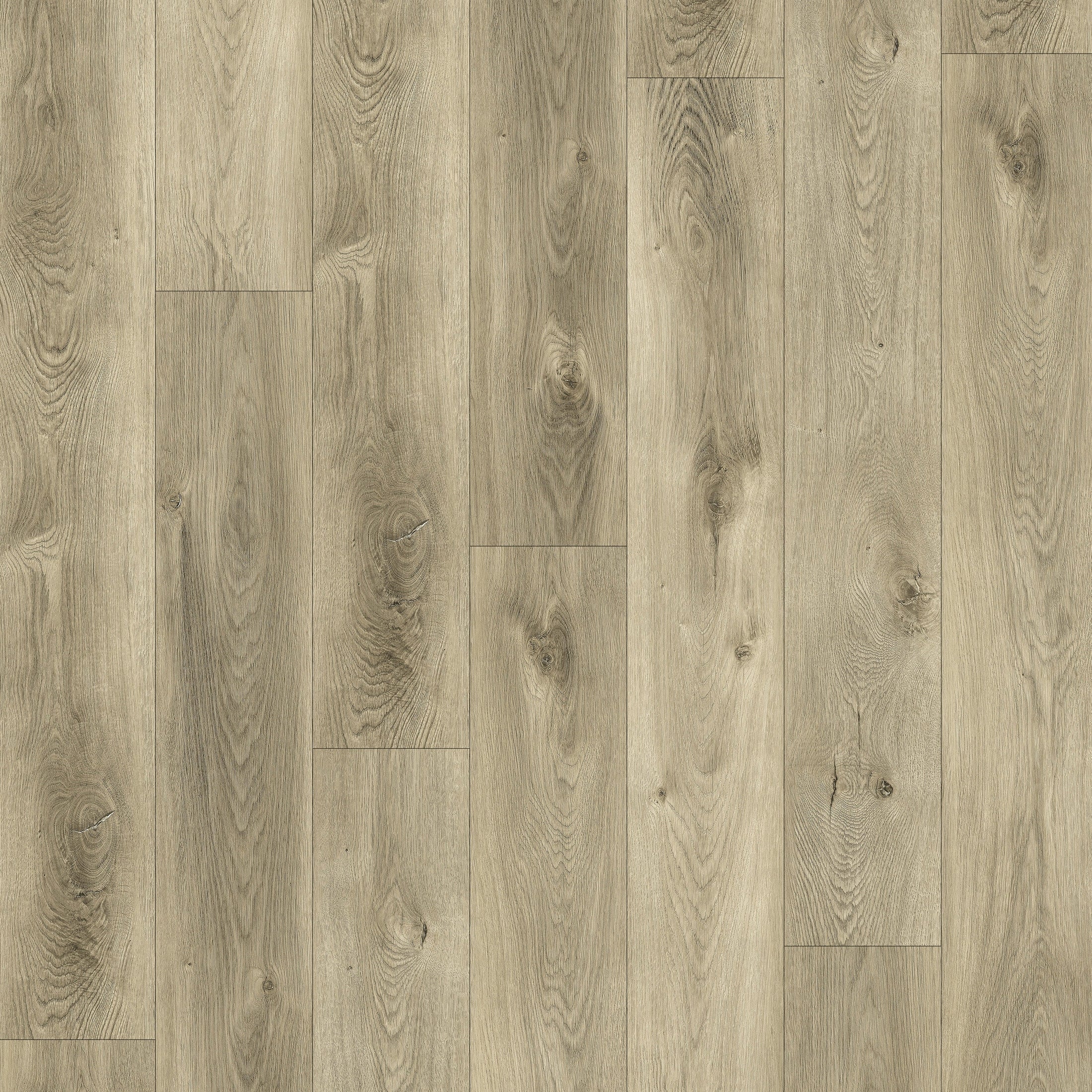 Claire001 Mont Claire | Vinyl