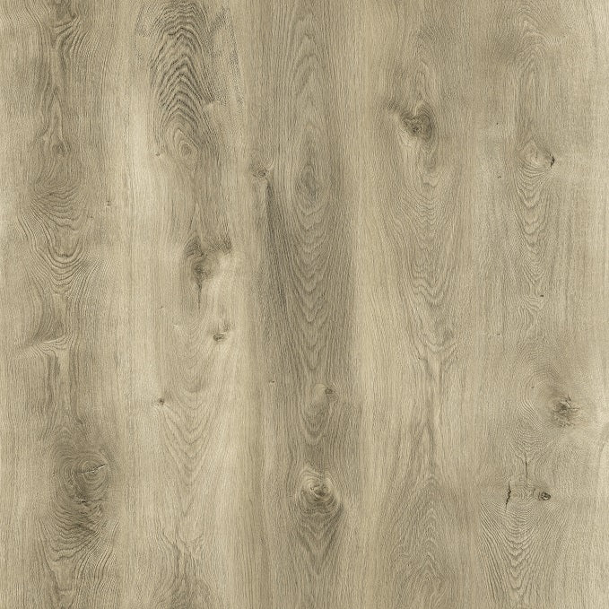 Claire001 Mont Claire | Vinyl