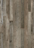 Petrified Forest waterproof vinyl flooring