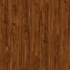 Forest151 Redwood Forest | Vinyl