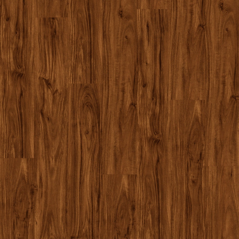 Forest151 Redwood Forest | Vinyl